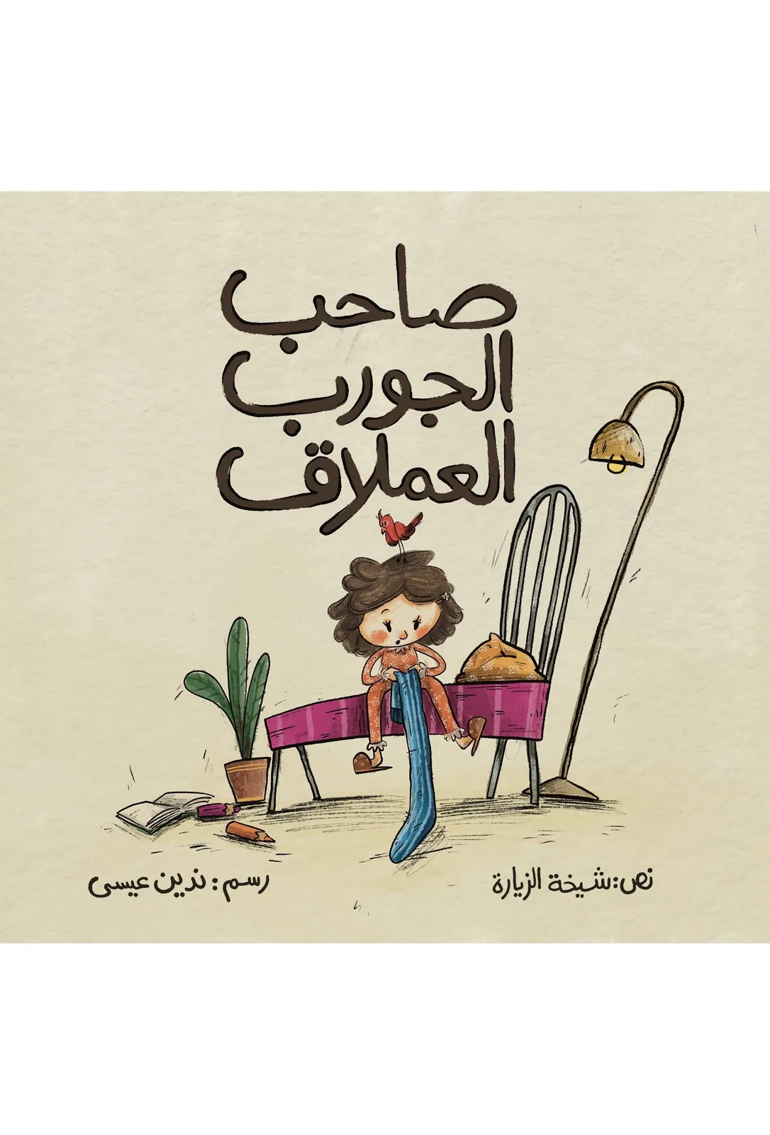 The Big Sock book cover
